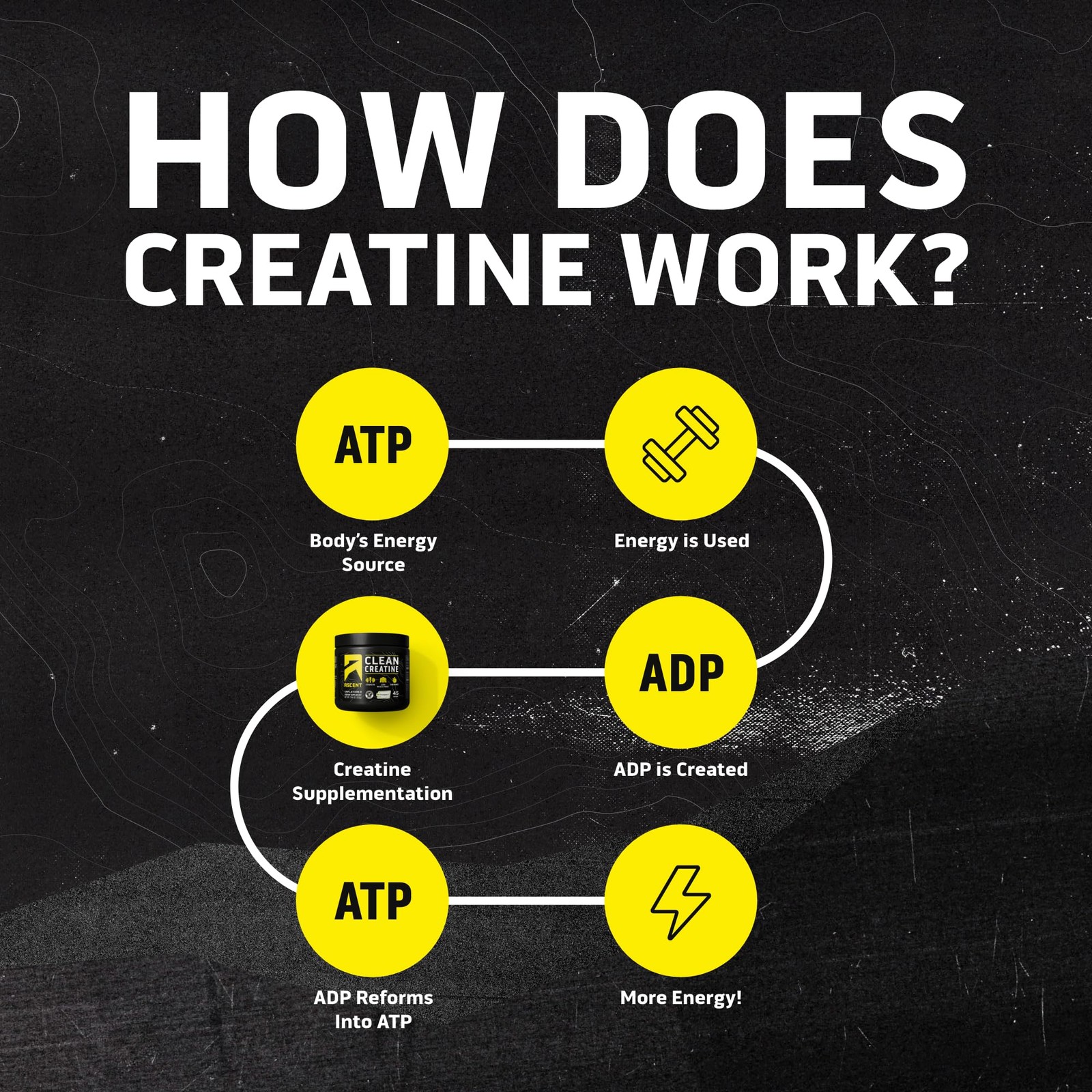 Ascent Clean Creatine Monohydrate Powder – 5G Per 45 Servings (Pack of 1)