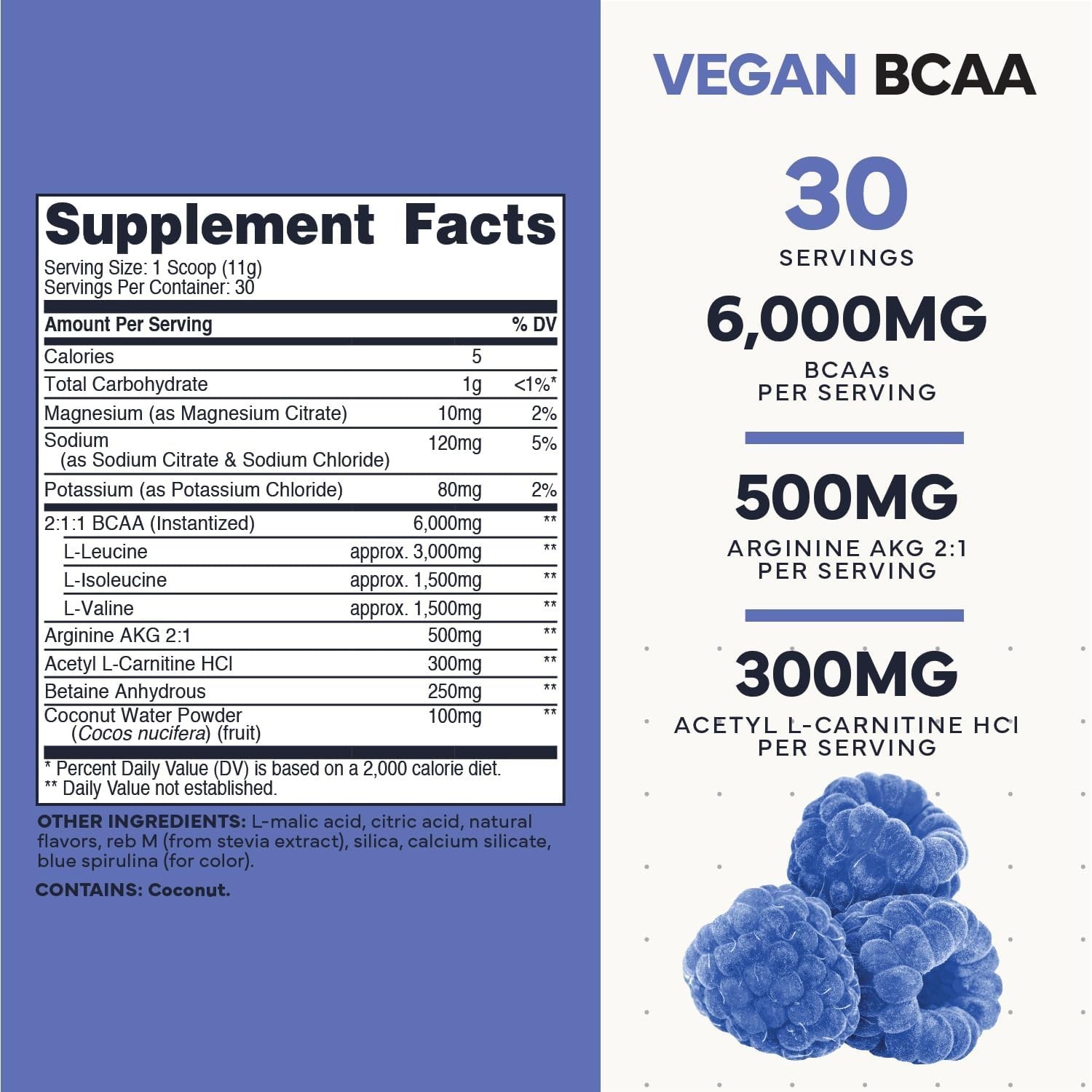 Type Zero Amino Burn – Vegan BCAA + Clean Pre Workout Powder with Arginine AKG