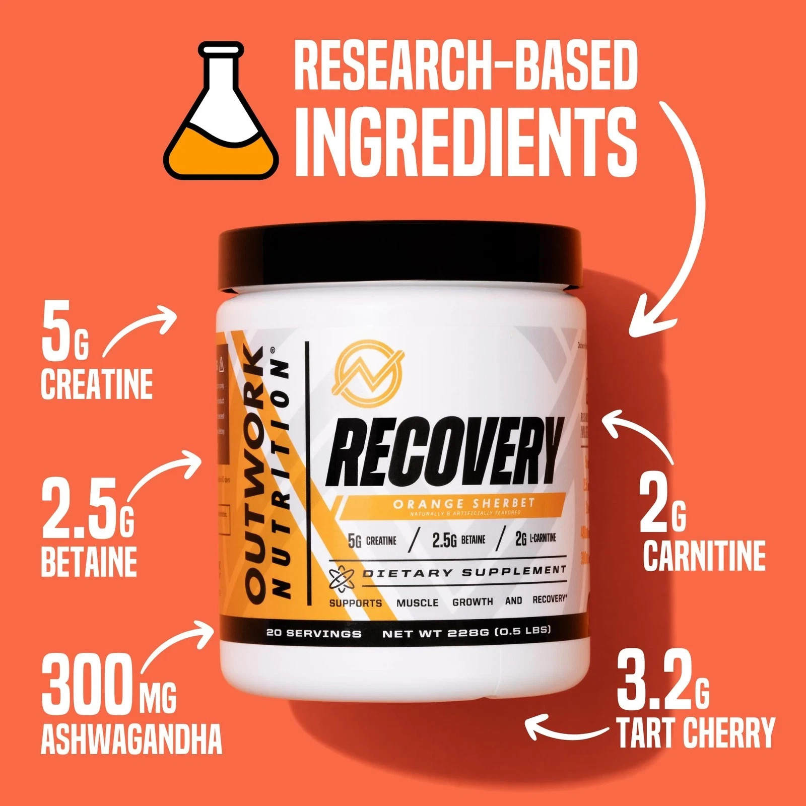 Outwork Nutrition Post Workout Recovery Powder Creatine Monohydrate, KSM66 A…