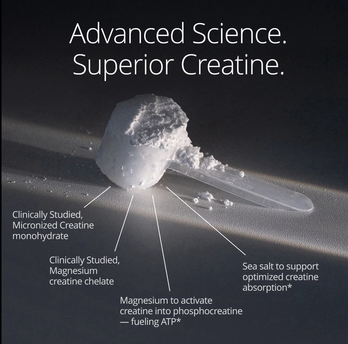 Qualia Creatine | Advanced Creatine Complex | 2 Sources + Magnesium | Optimiz…