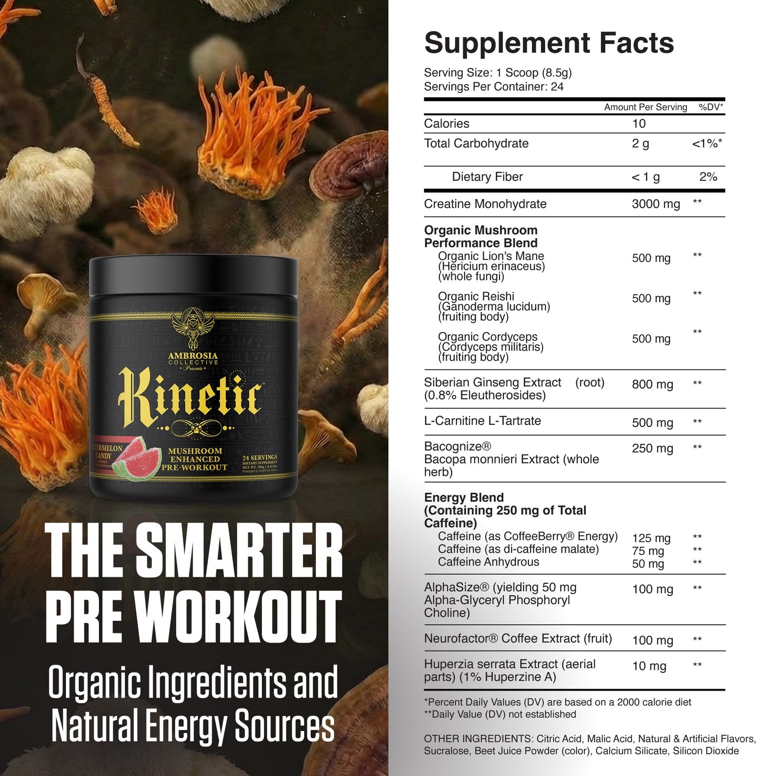 Ambrosia Kinetic – Organic Pre Workout Powder | Mushroom-Enhanced Natural Pre…