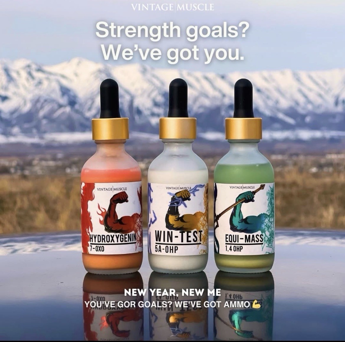 VM💪Cycle🔁Deal God Series;Lean MassGains: Wintest,Equi,Hydroxy &PCT💊🏛️🔱🔥⚡️