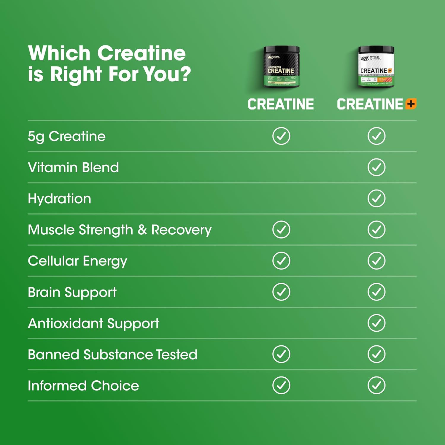 Micronized Creatine Monohydrate Powder, Unflavored, 60 Servings, 300 Grams