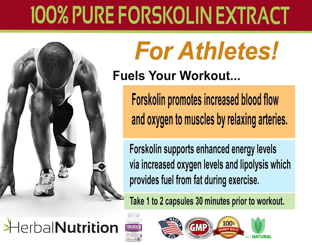 Best Forskolin Extract Weight Loss Supplement 180 Capsules 250mg 20% Extract