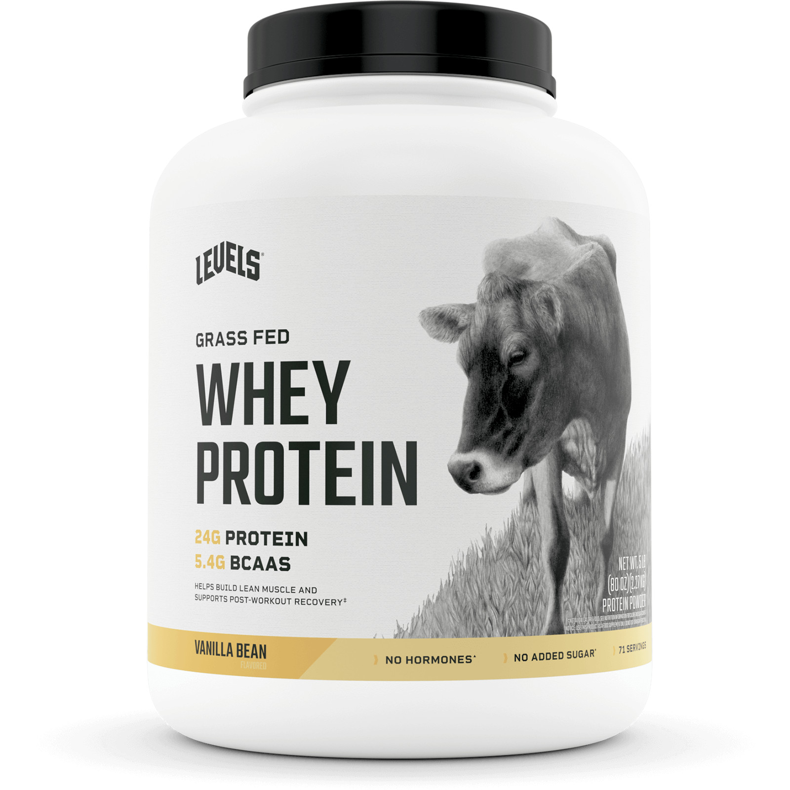 Levels Grass Fed 100% Whey Protein – 9 Flavors! – CHOOSE FLAVOR – 5 LB