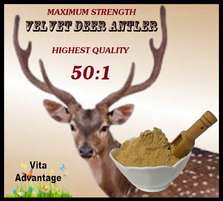 DEER ANTLER VELVET 50:1 EXTRACT POWDER 1LB MAXIMUM STRENGTH! BEST SELLING!