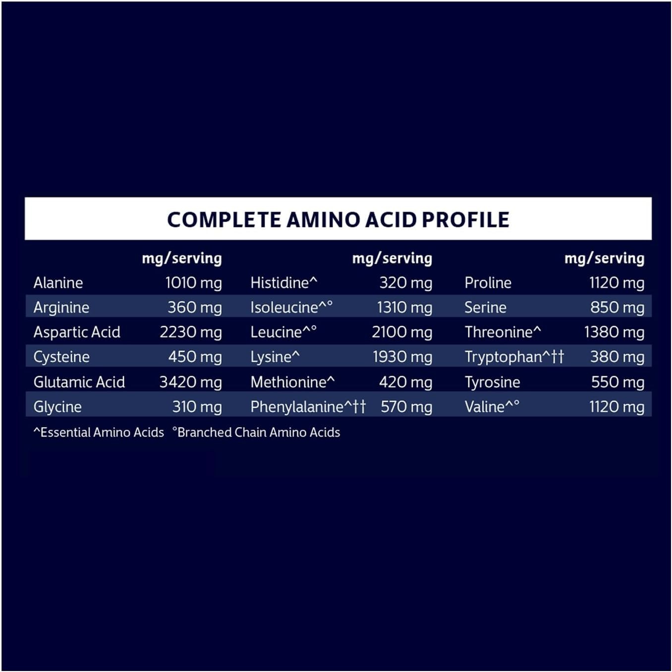 Keto Friendly 100% Whey Protein Powder – 20g High-Quality Sugar-Free Chocolate