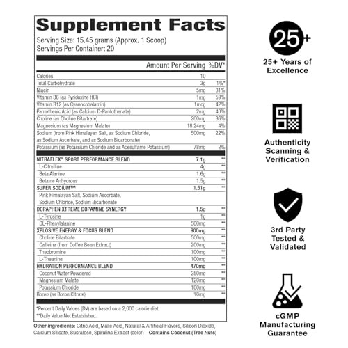 Nitraflex Sport Pre-Workout Powder 20 Servings Blue Raspberry Blast-EXP:07/2027