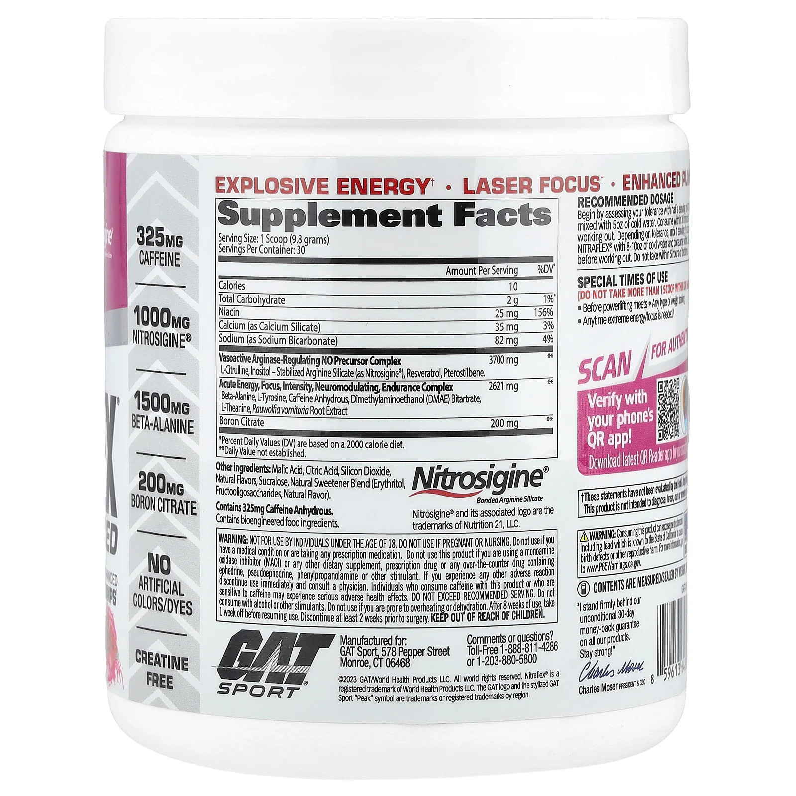 2 X GAT, Sport, NITRAFLEX� Advanced, Watermelon, 10.4 oz (294 g)
