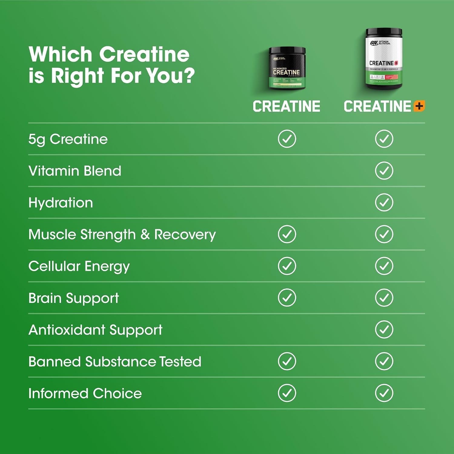 Creatine Monohydrate Plus Powder, Strawberry Peach Flavored Creatine Performa…