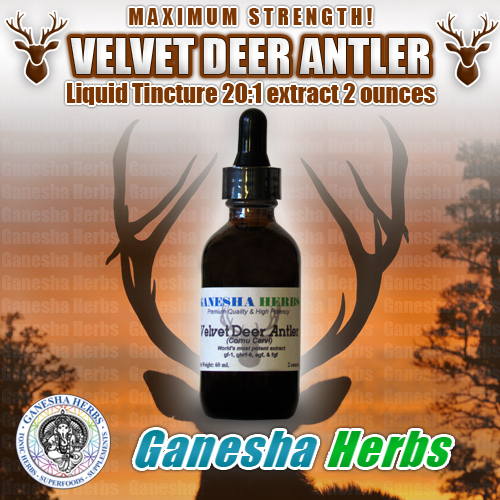 VELVET DEER ANTLER 20:1 LIQUID EXTRACT TINCTURE 2 oz. MAXIMUM STRENGTH!!