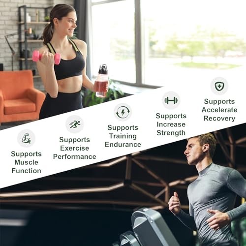 Creatine Monohydrate Powder BCAA Energy Strength Endurance Supplement Vegan