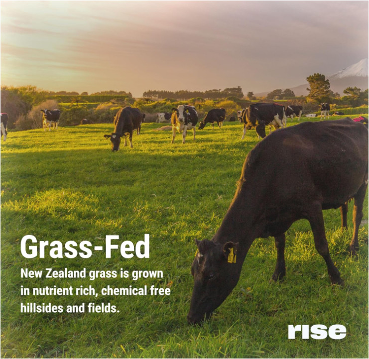 Rise Grass-Fed Whey Protein Powder, Chocolate Almond, 2.4 lb, 25g Protein