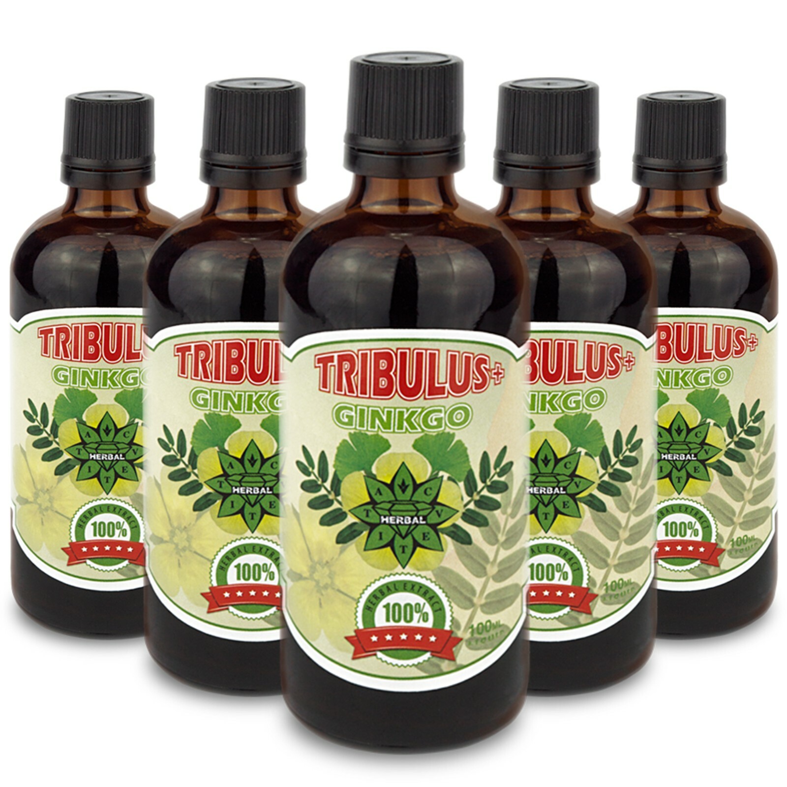 Tribulus Ginkgo biloba Memory Cognitive Health Muscle Gain Testosterone booster
