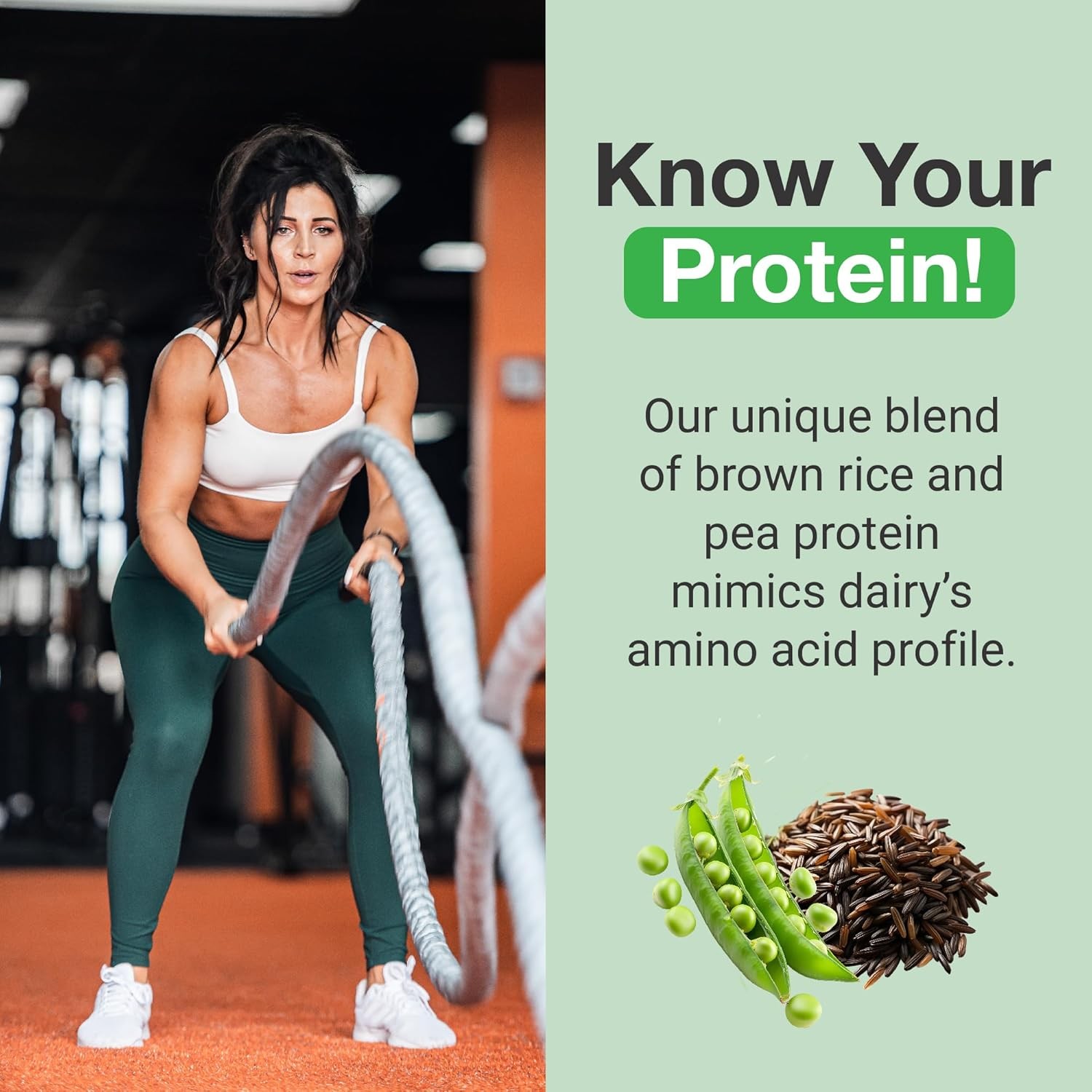 Plant-Based Vegan Protein Powder: Pea + Rice Protein Blend, Gluten/Dairy/Soy