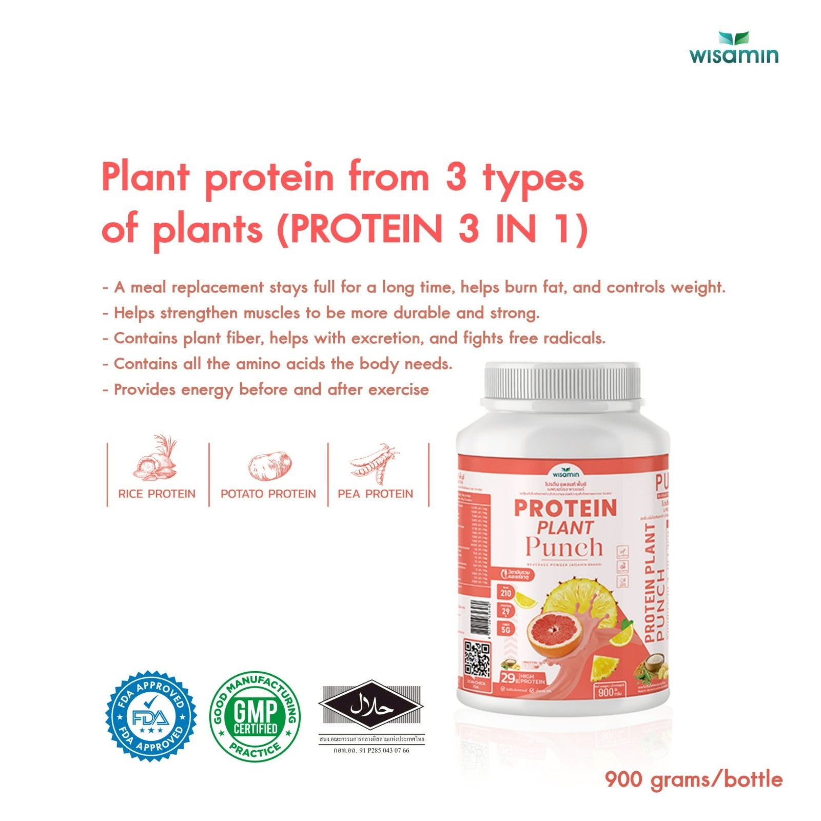 WISAMIN Plant Protein Punch Flavor 900g | 29g Protein, Organic, Vegan, Non GMO