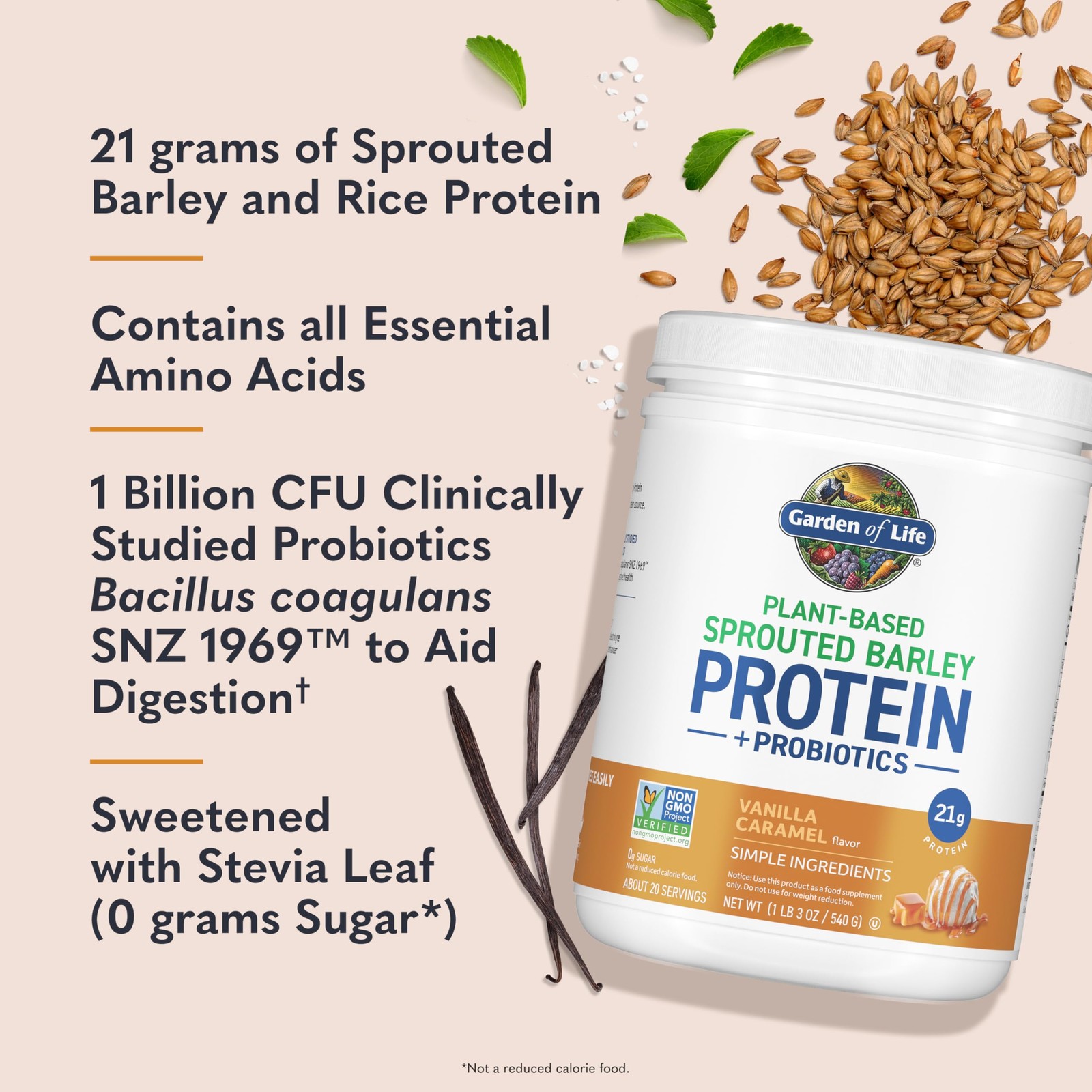 Garden Of Life Plant-Based Sprouted Barley Protein Vanilla Caramel 21G Protein