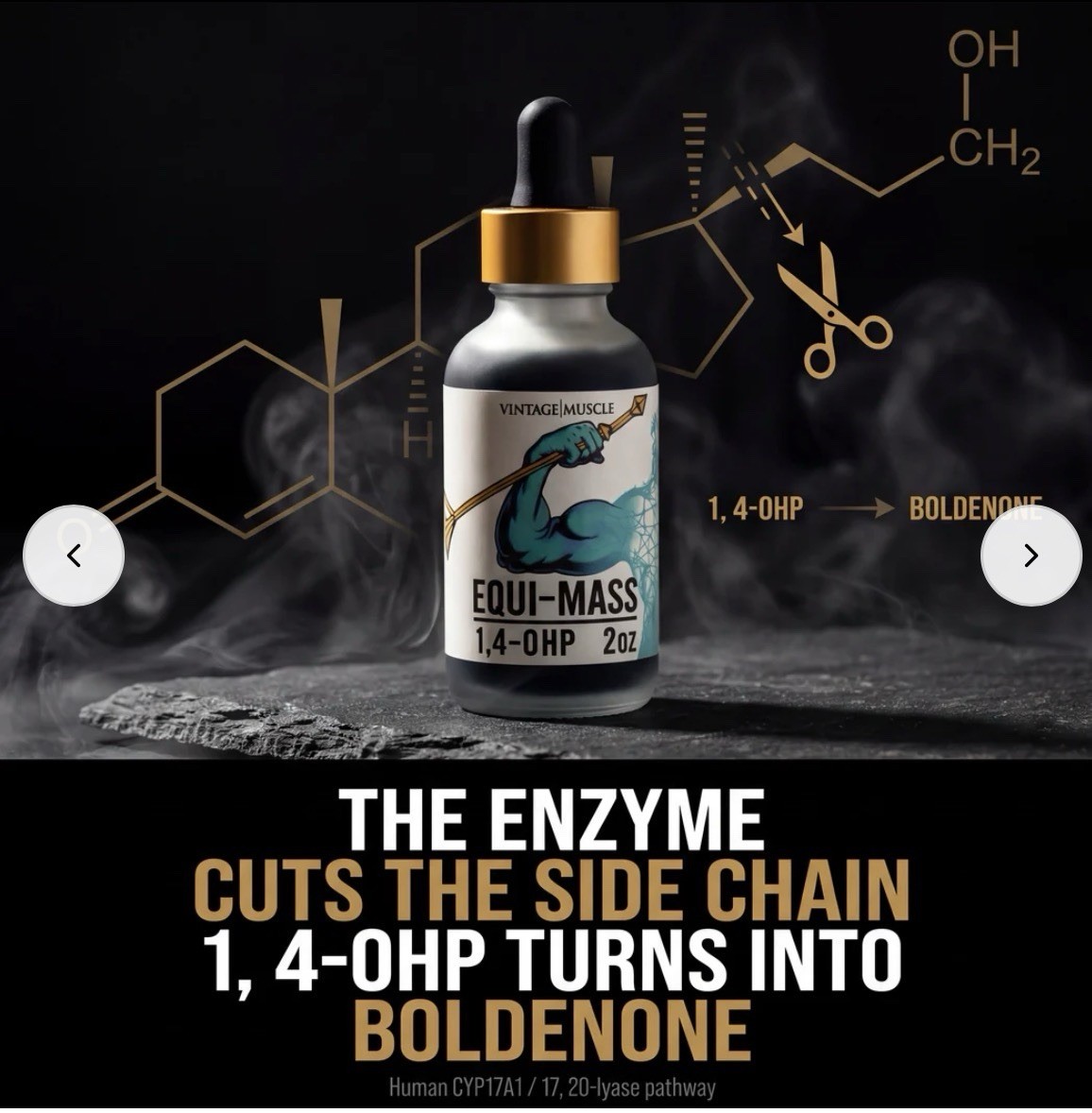 God Tier Ult.Mass Gainer 8 Week Cycle 🔁Bundle Deal By Vintage Muscle💪🏛️🧪