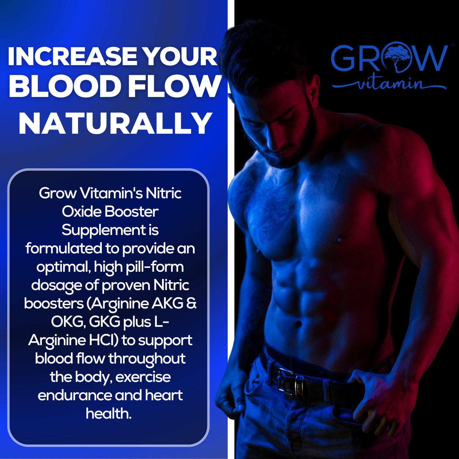NITRO PUMP Nitric Oxide Pre Workout Muscle Growth + EXPLOSIVE ENDURANCE Tablets