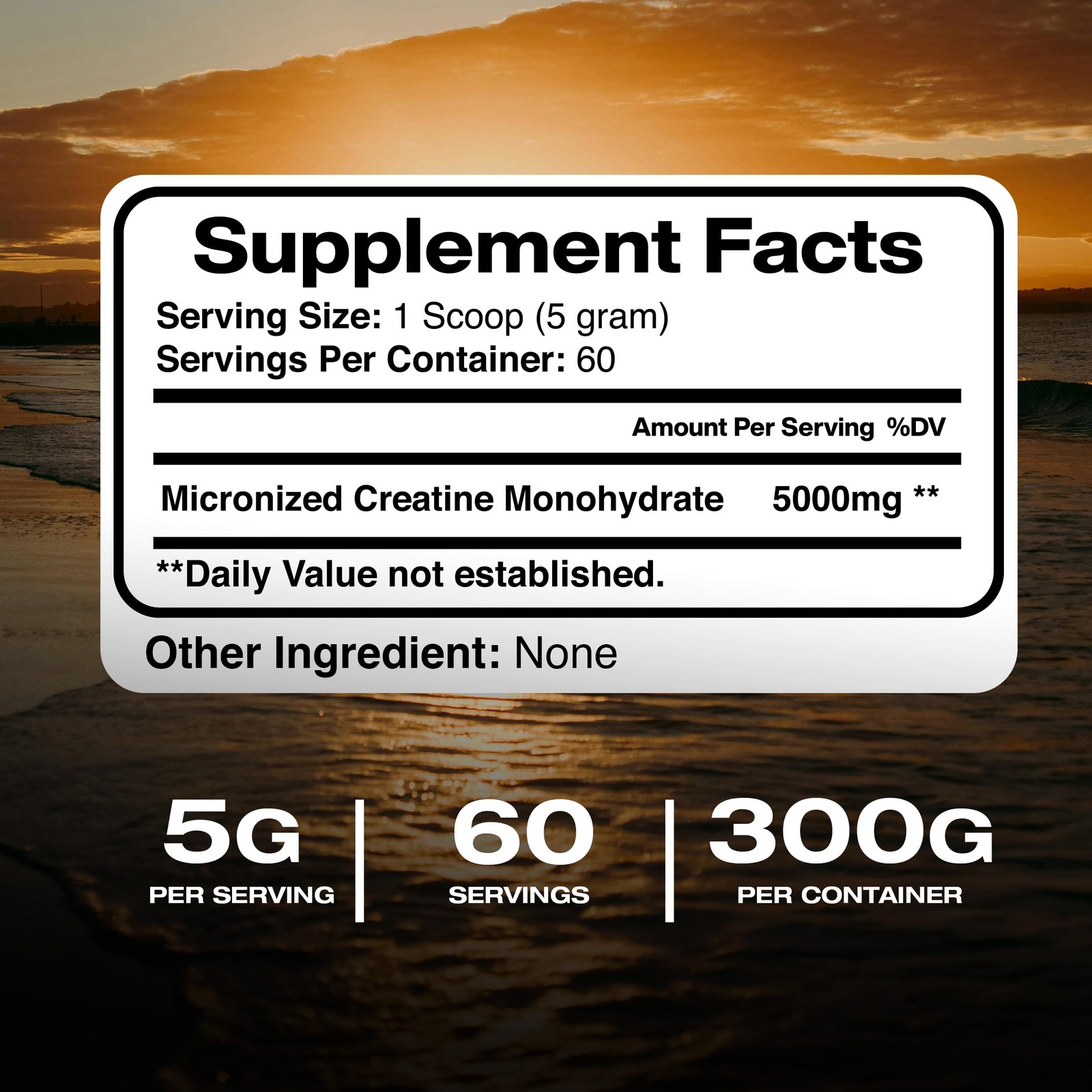 American Standard Supplements Pure Creatine Monohydrate Micronized Powder – M…