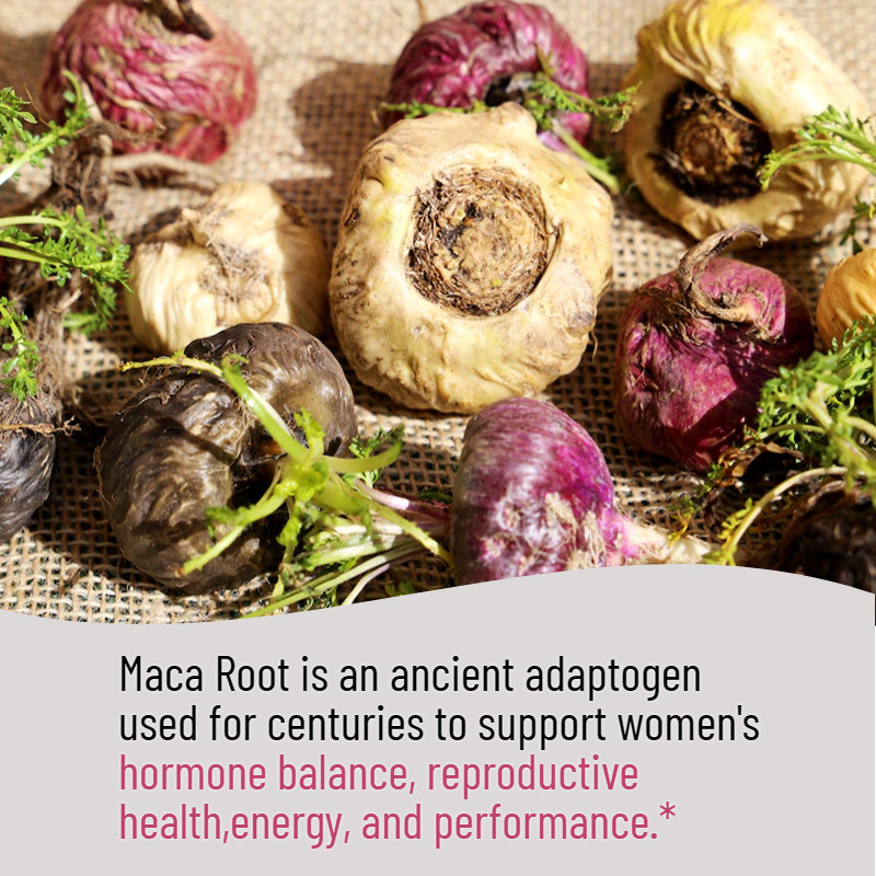 MACA REPRODUCTIVE HEALTH May Support Sexual Well-Being For Men and Women capsule