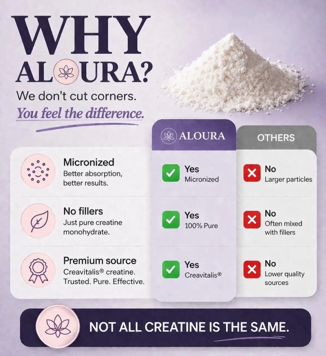 Aloura Nutrition Balance Micronized Creatine Monohydrate Powder (30 Servings)