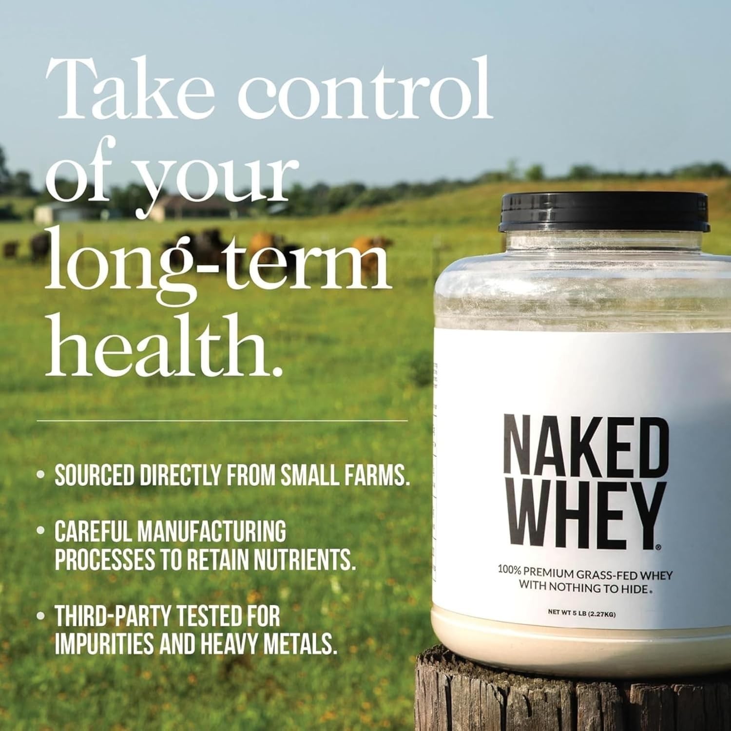 Vanilla Whey Protein 1Lb – 3 Ingredients, NSF Certified, Grass Fed