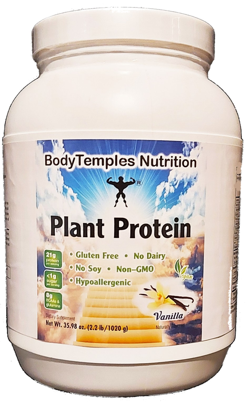 BodyTemples Plant Protein Non-GMO 21g w/ 7 grams BCAA Amino Acids Reg. Size