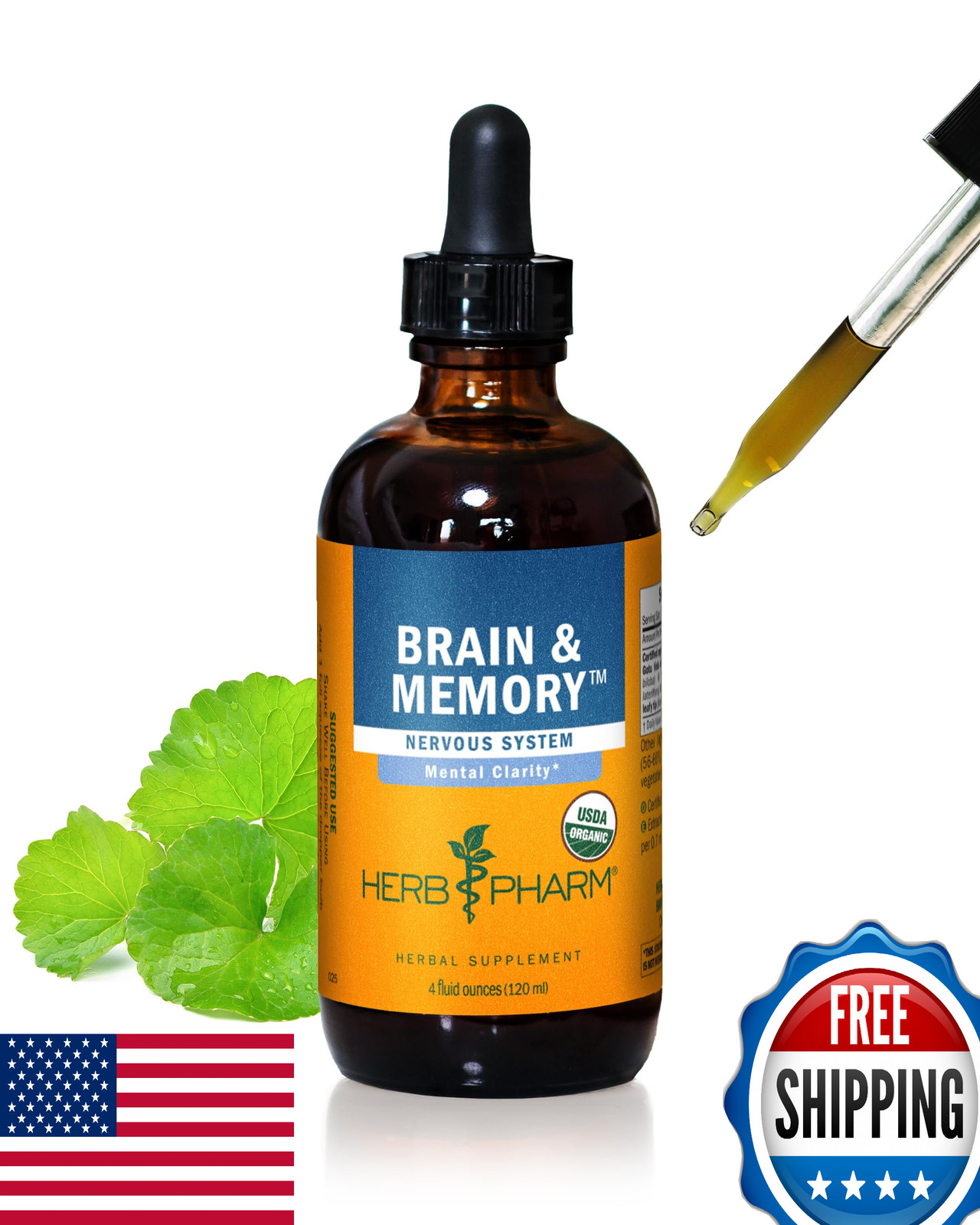Herb Pharm Brain & Memory Liquid Herbal Formula, Ginkgo, Focus, 4 Fl Oz
