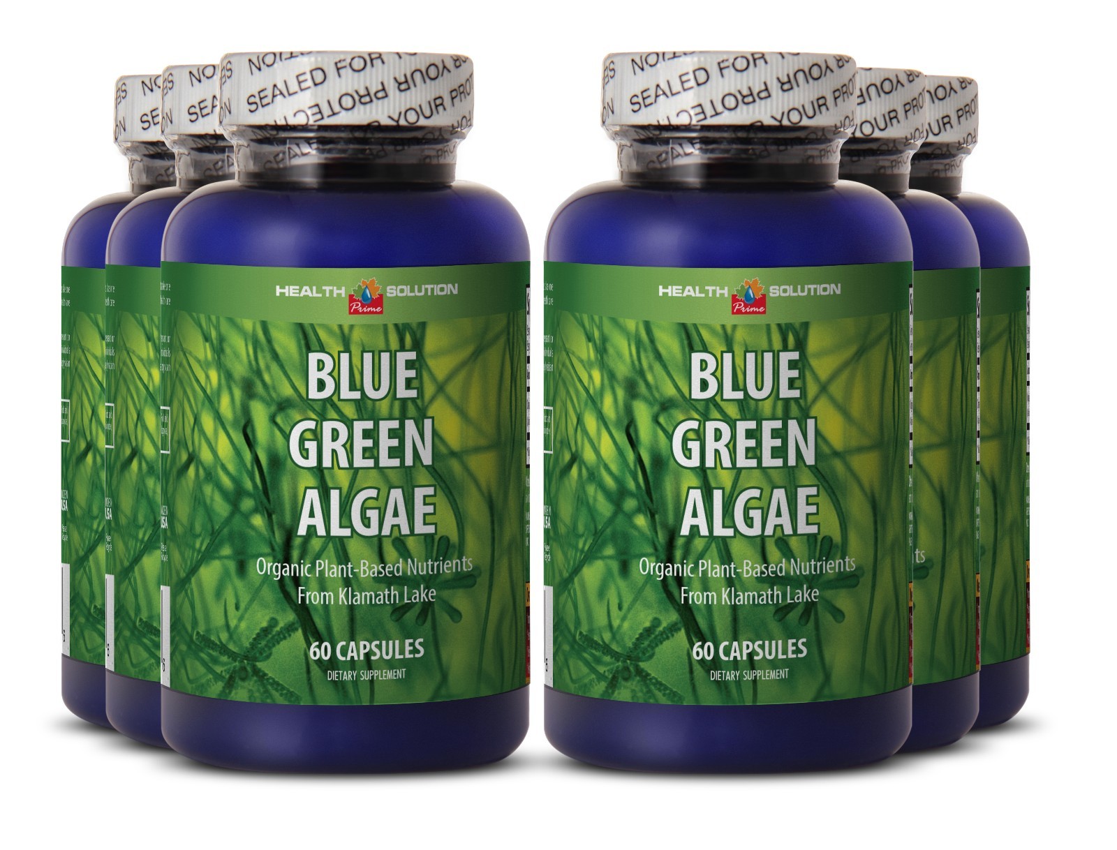 Shields Body From Bacteria – Blue Green Algae 500 – Organic Chorella Powder 6B