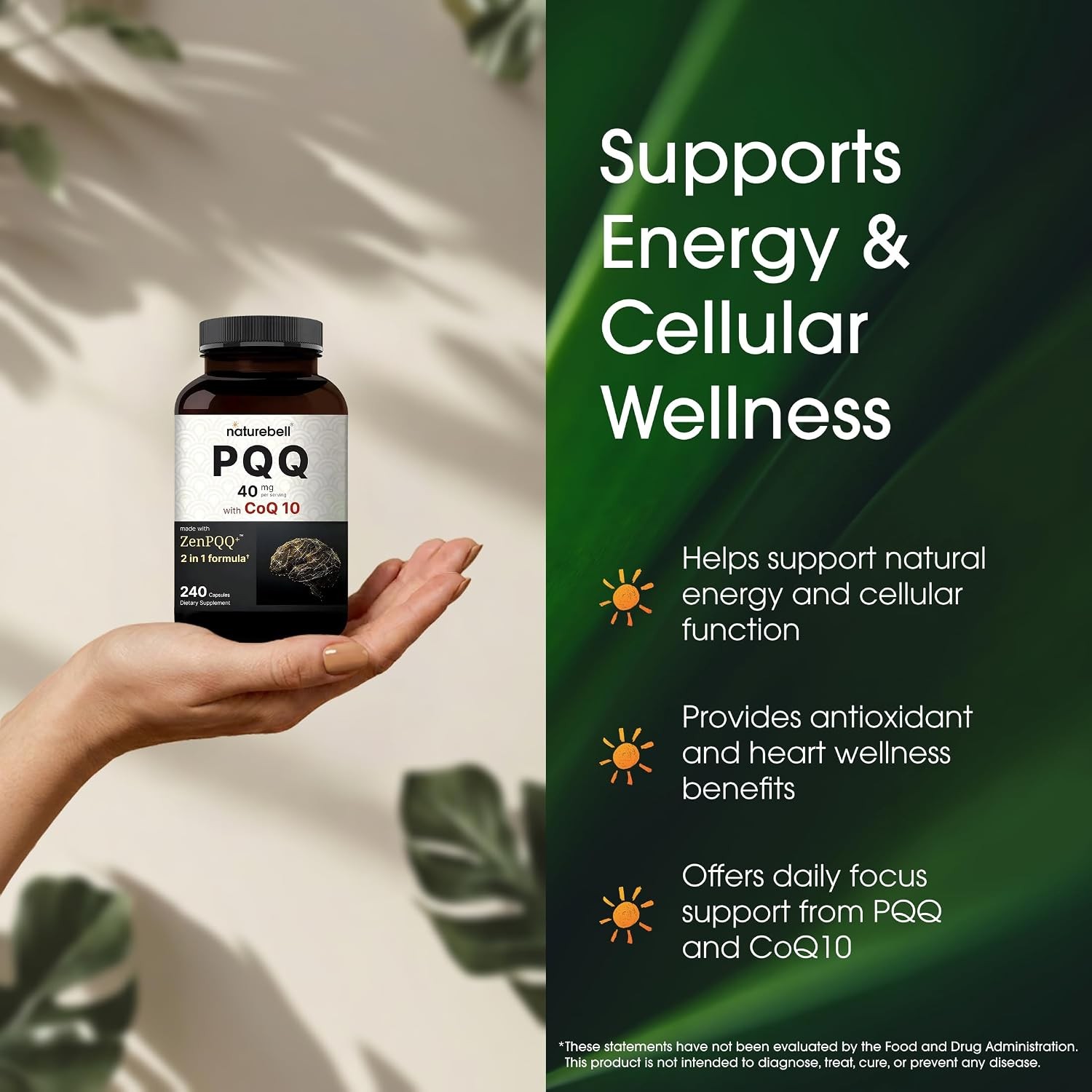 NatureBell PQQ with CoQ10-240 Capsules – 40mg Active PQQ with 10mg Coenzyme Q10