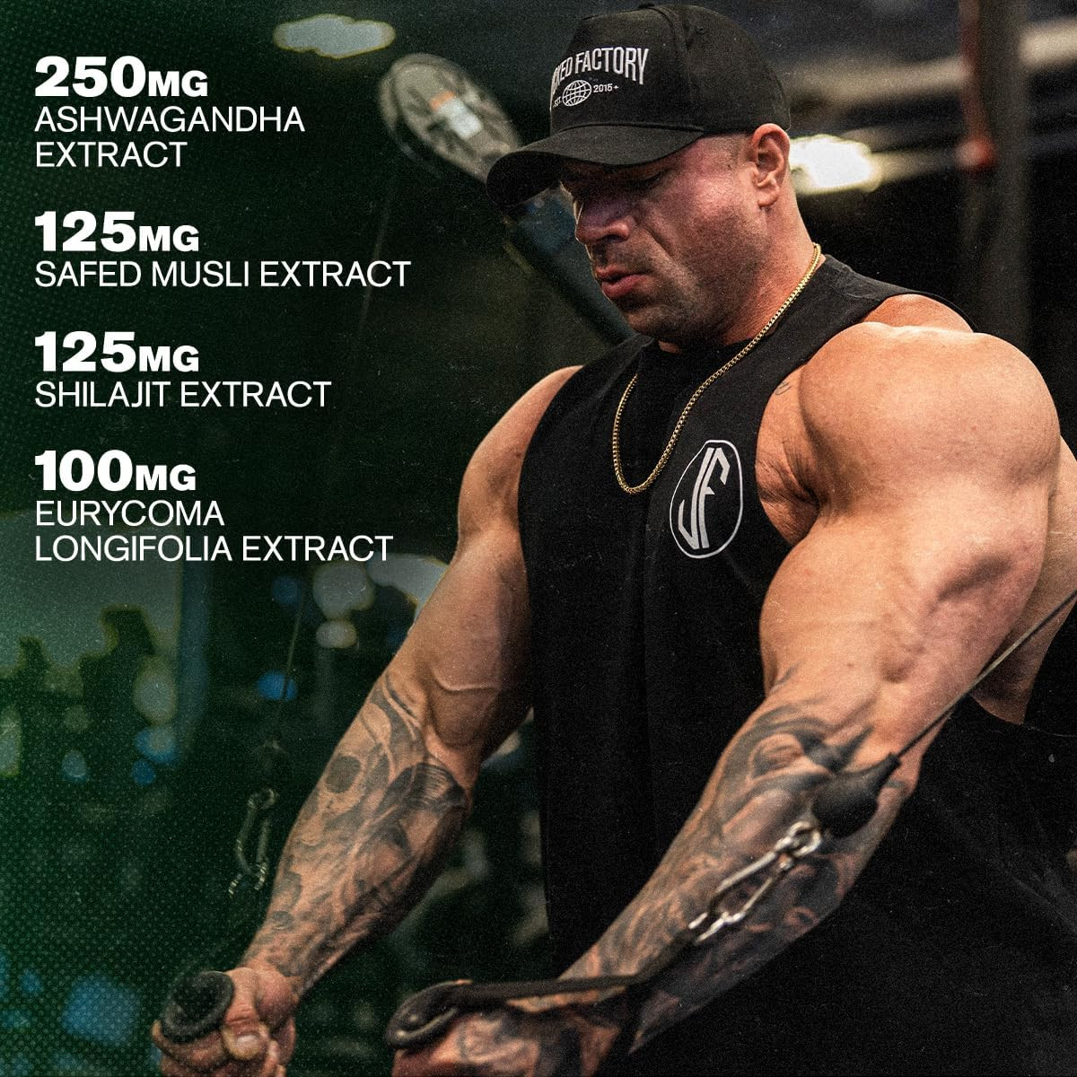 PRIMASURGE – Potenciador de testosterona natural, crecimiento muscular y fuerza