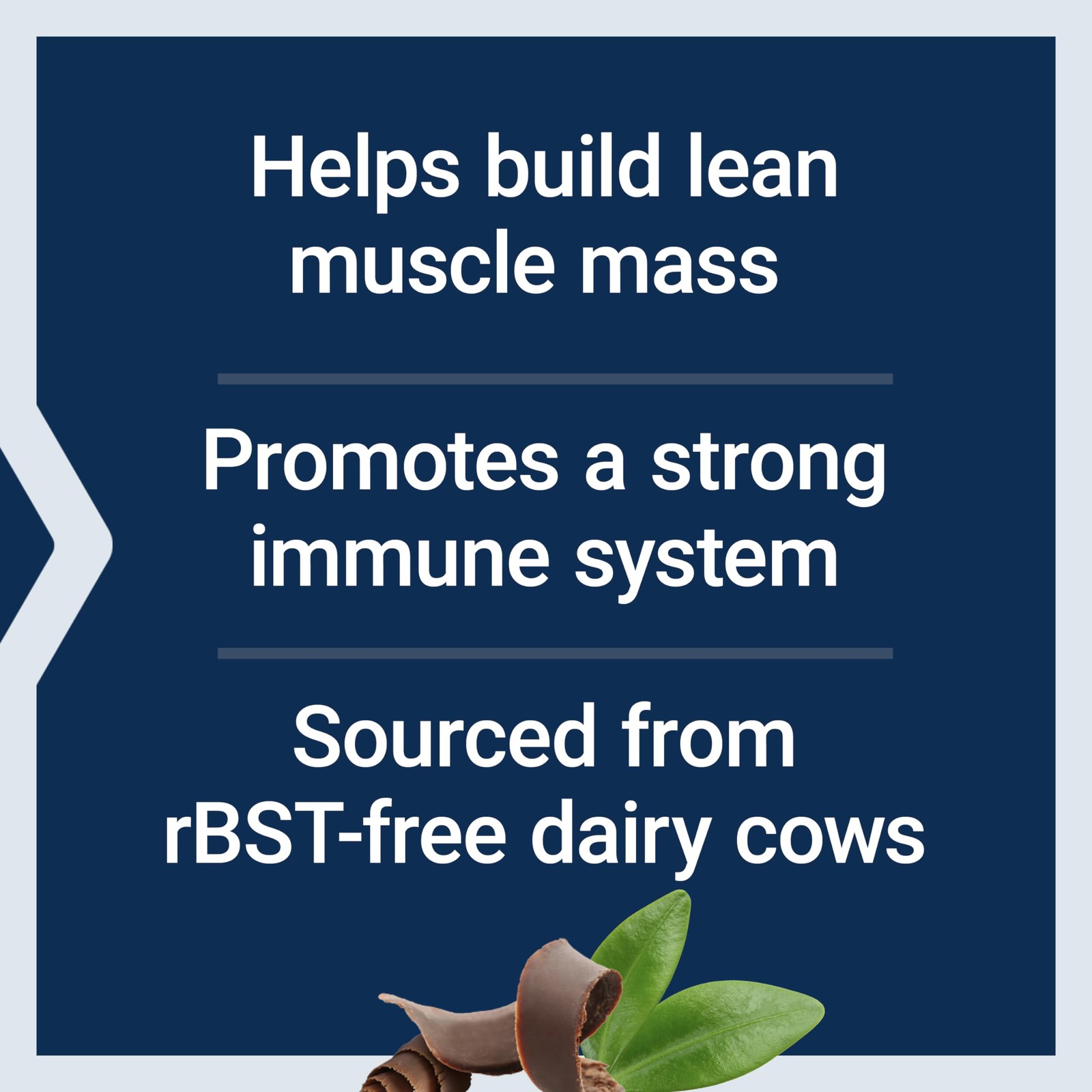 Life Extension Wellness Code Whey Protein Isolate Chocolate Protein And