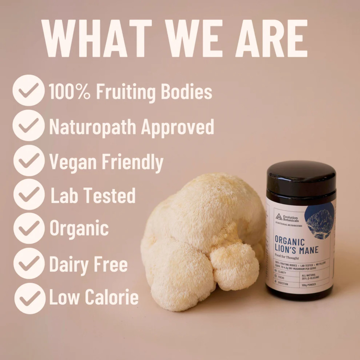 Evolution Botanicals, Organic Lion’s Mane, 100g