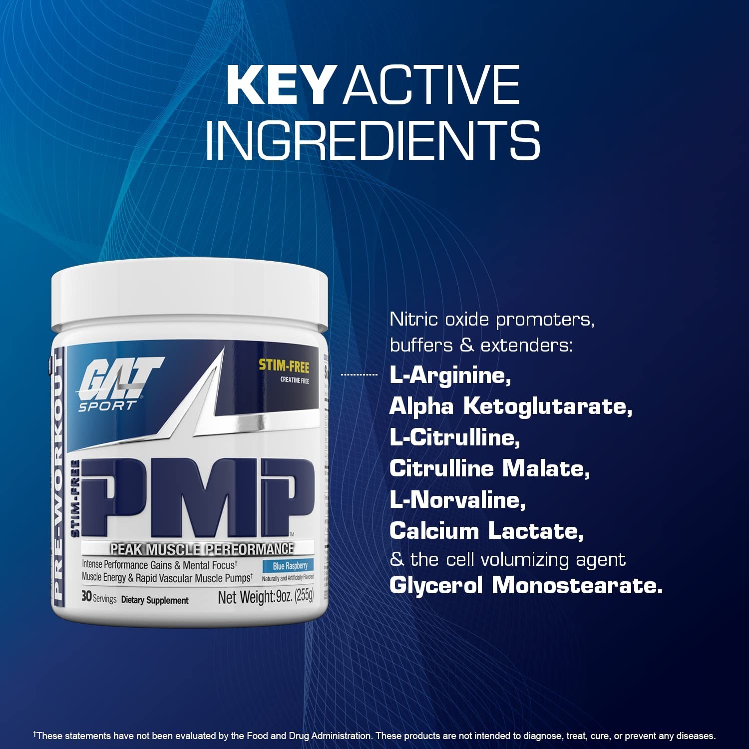 Stim-Free Pre-Workout Powder, Blue Raspberry, 9 oz | Muscle Performance & Endura
