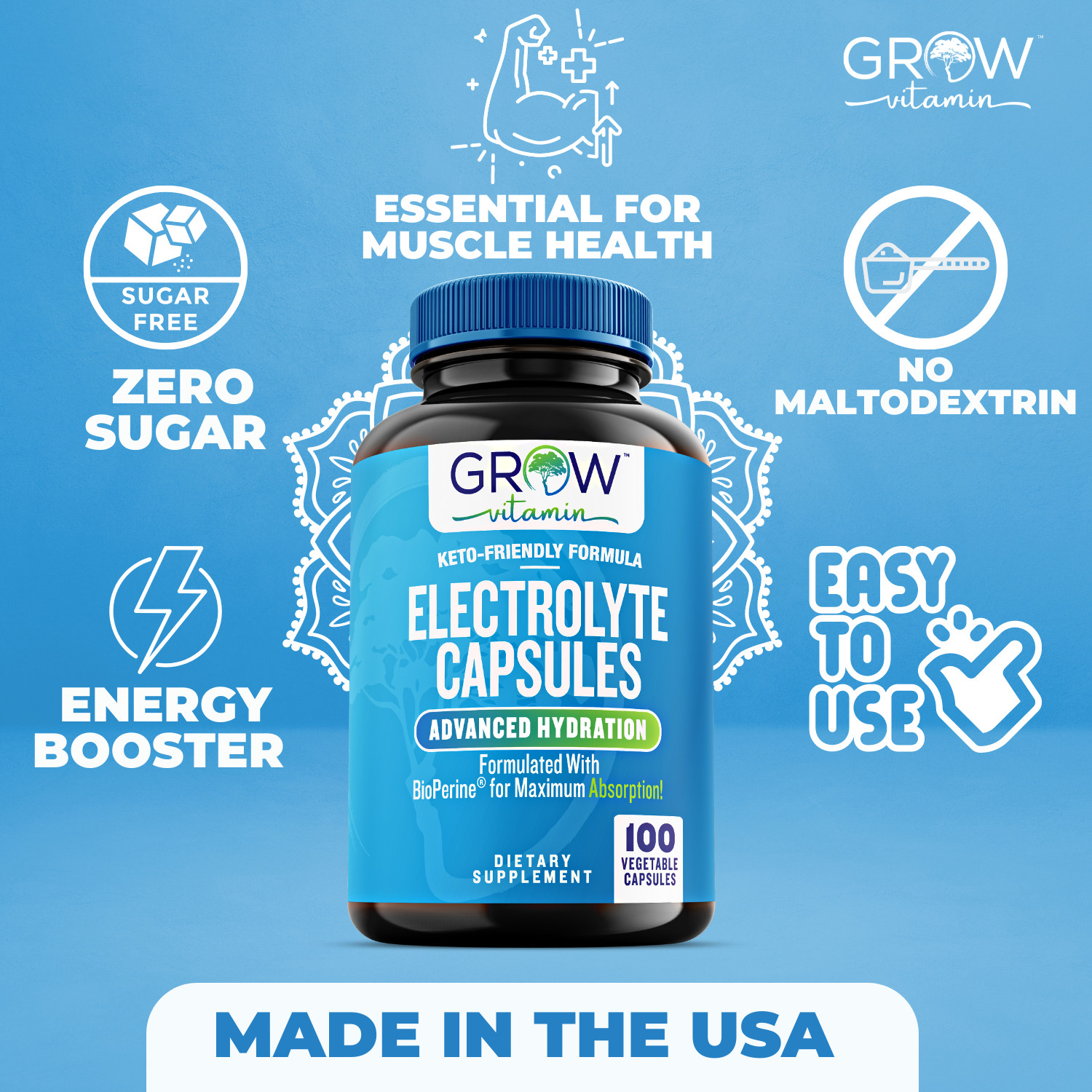 Electrolyte Salt Tablets – 100 Pills – Electrolytes Replacement Supplement for R
