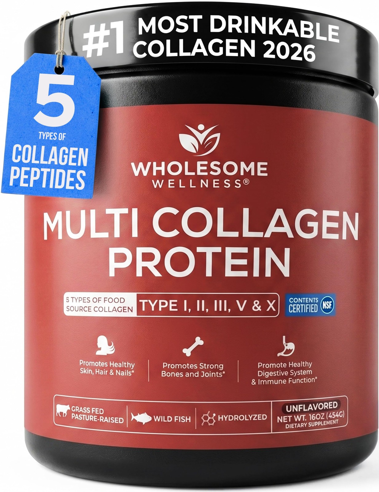 Wholesome Wellness Premium Multi Collagen 1 Pound (Pack of 1), Naturulse 95