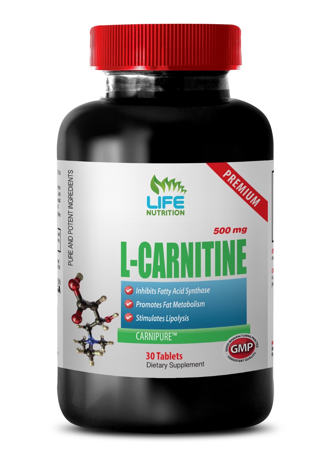 carnitine complex – L-CARNITINE 500mg 1 Bottle – workout and bodybuild vitamins