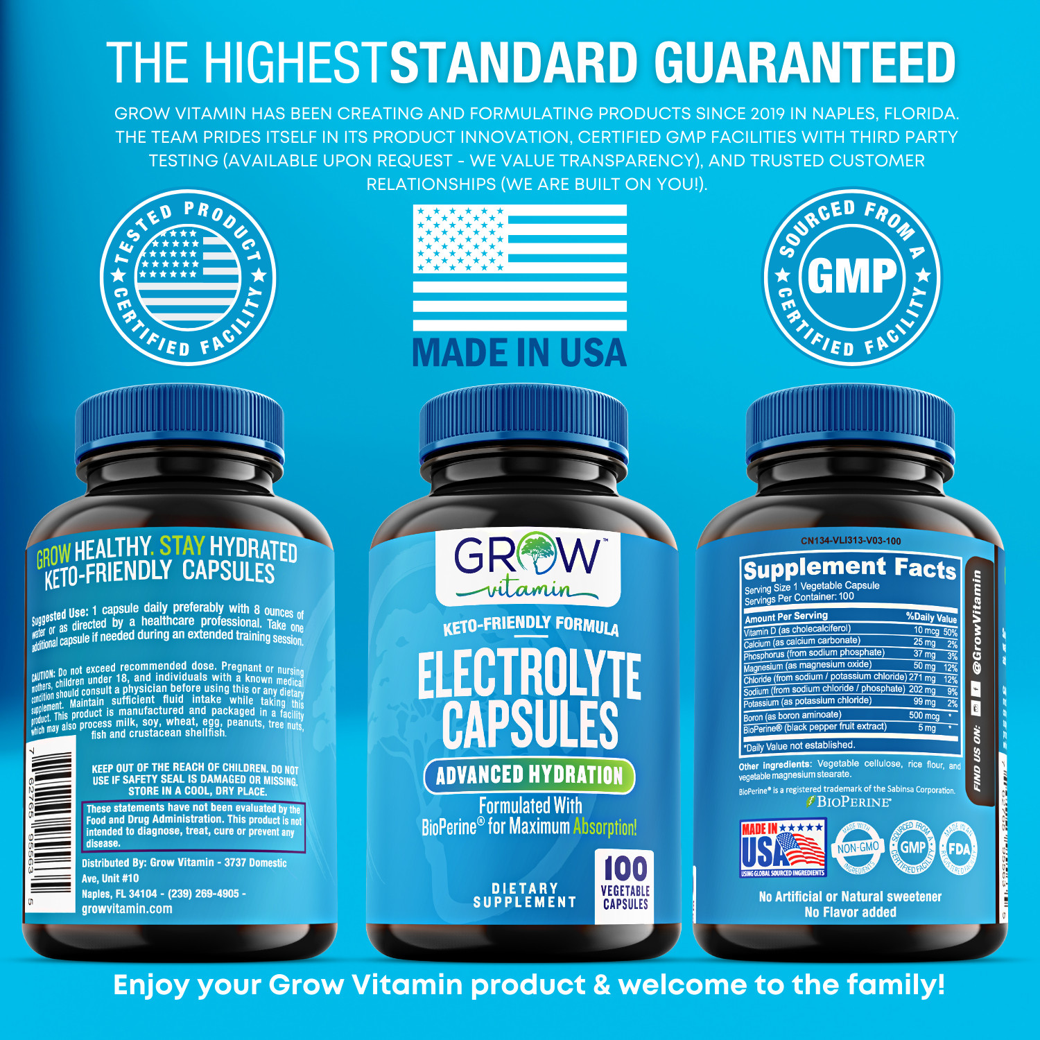 Grow Vitamin Lyte Fuel, Electrolyte Replacement Supplement. 100 Capsules