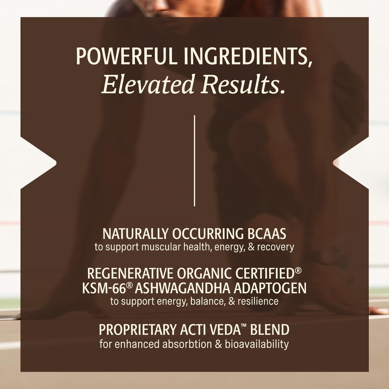 Men’s Whey Protein Chocolate Grass Fed A2 Regenerative with KSM-66 Ashwagandha