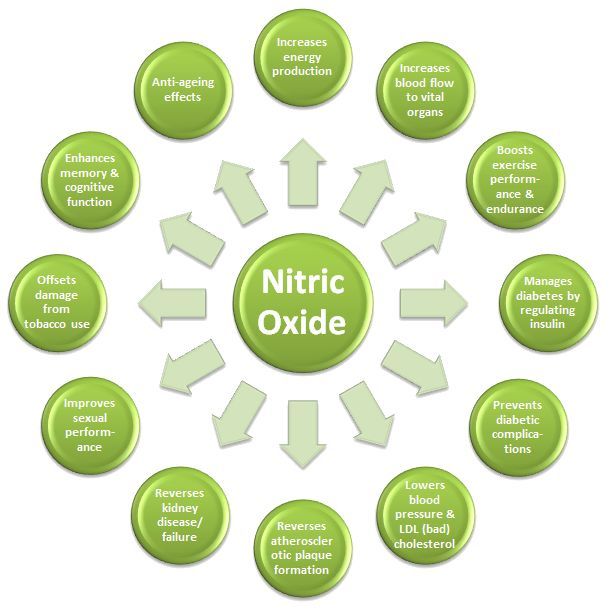 Pre-workout Nitric oxide – NITRIC OXIDE 2400 Mg – 1B – cardioprotective benefits