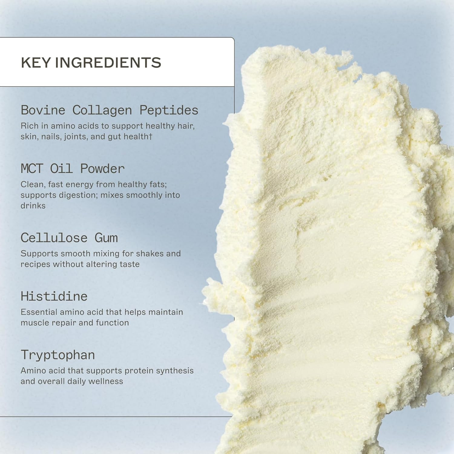 the Myers Way Paleo Protein Unflavored – Supports Gut Barrier Function & Daily P