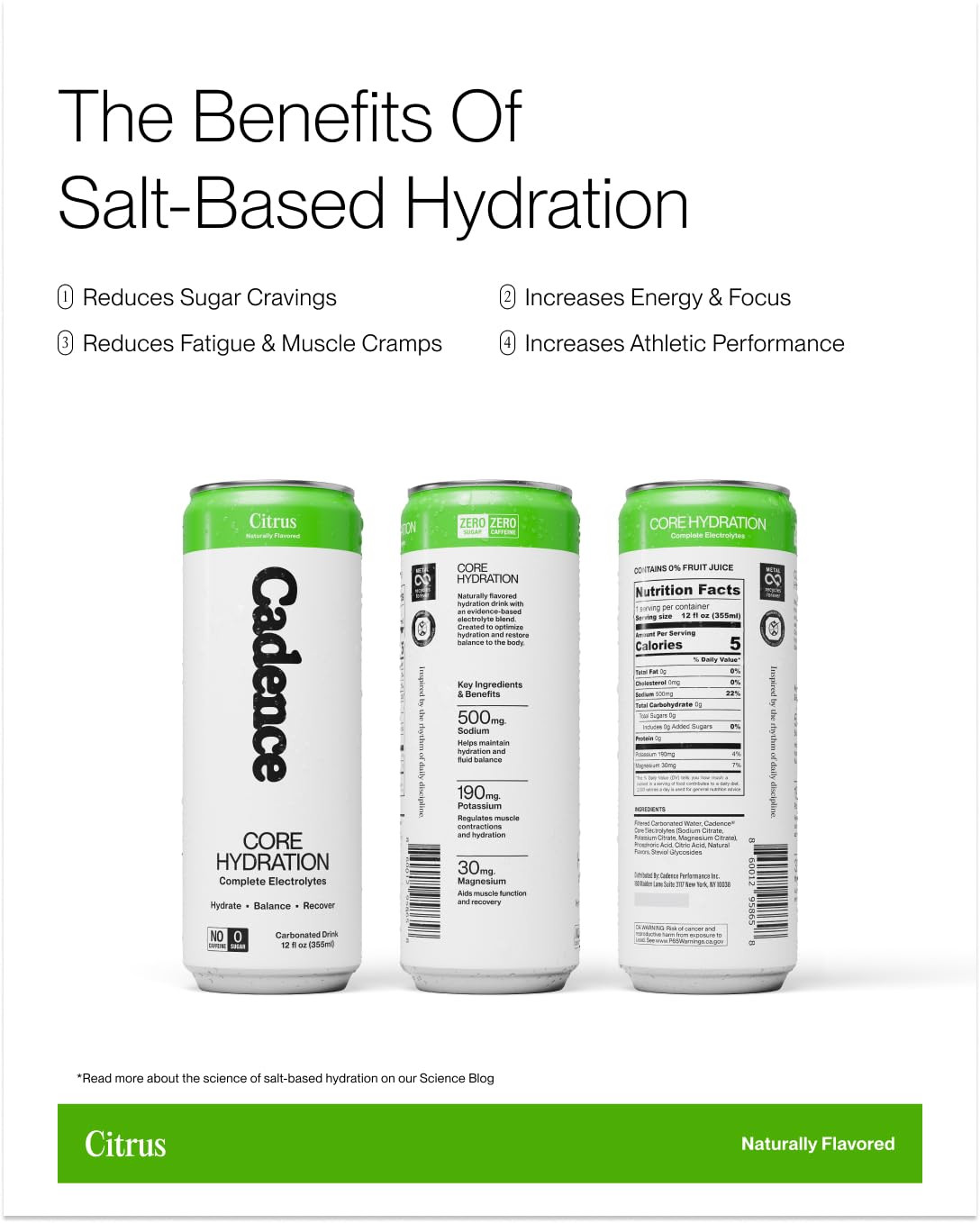 Electrolyte Drink – Citrus Flavor, 355Ml X 12 | Science-Backed Hydration | Zero