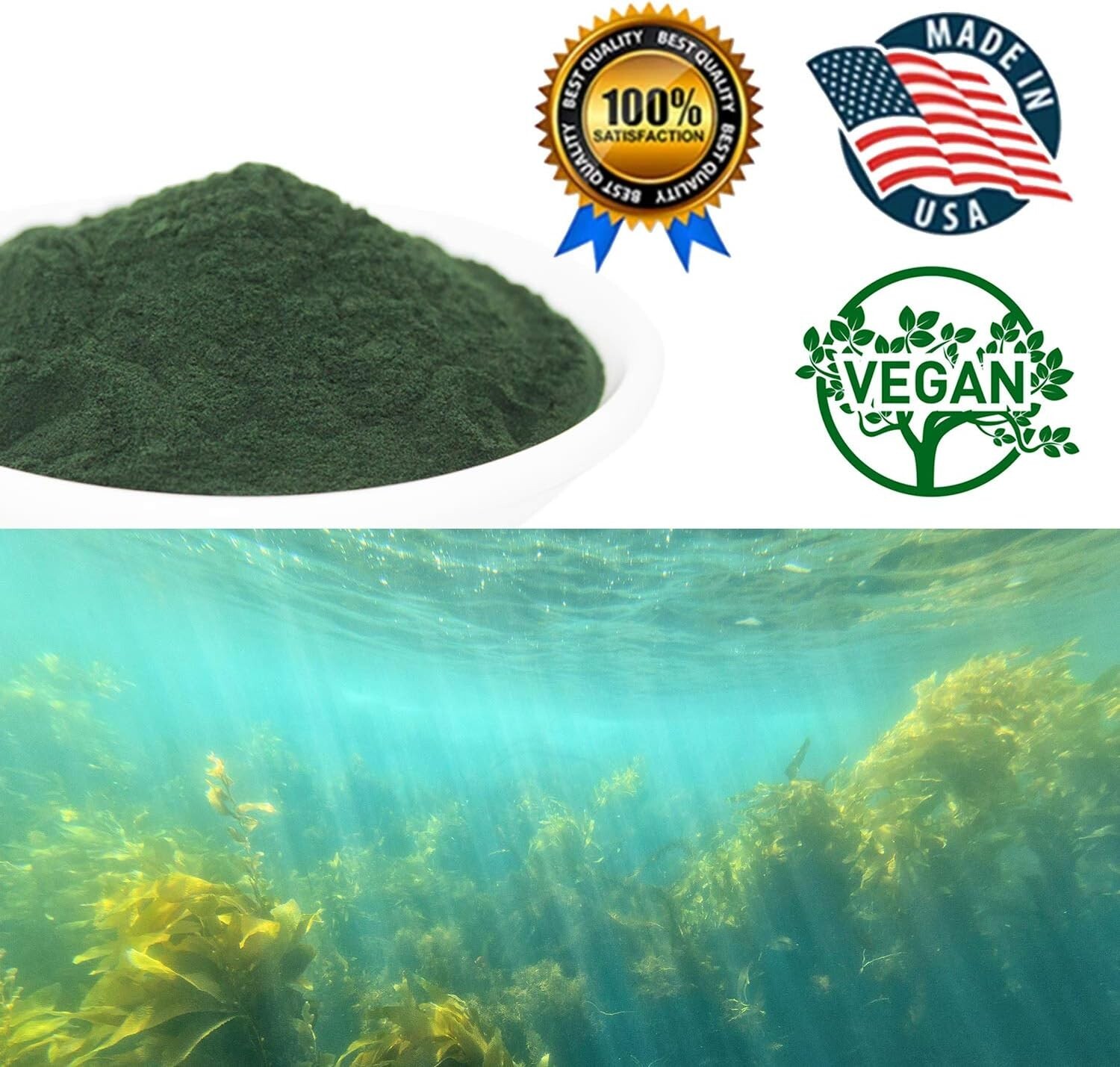 Spirulina Powder 16 Ounce ,Substitute protein powder, 100% Vegetarian, 1LB