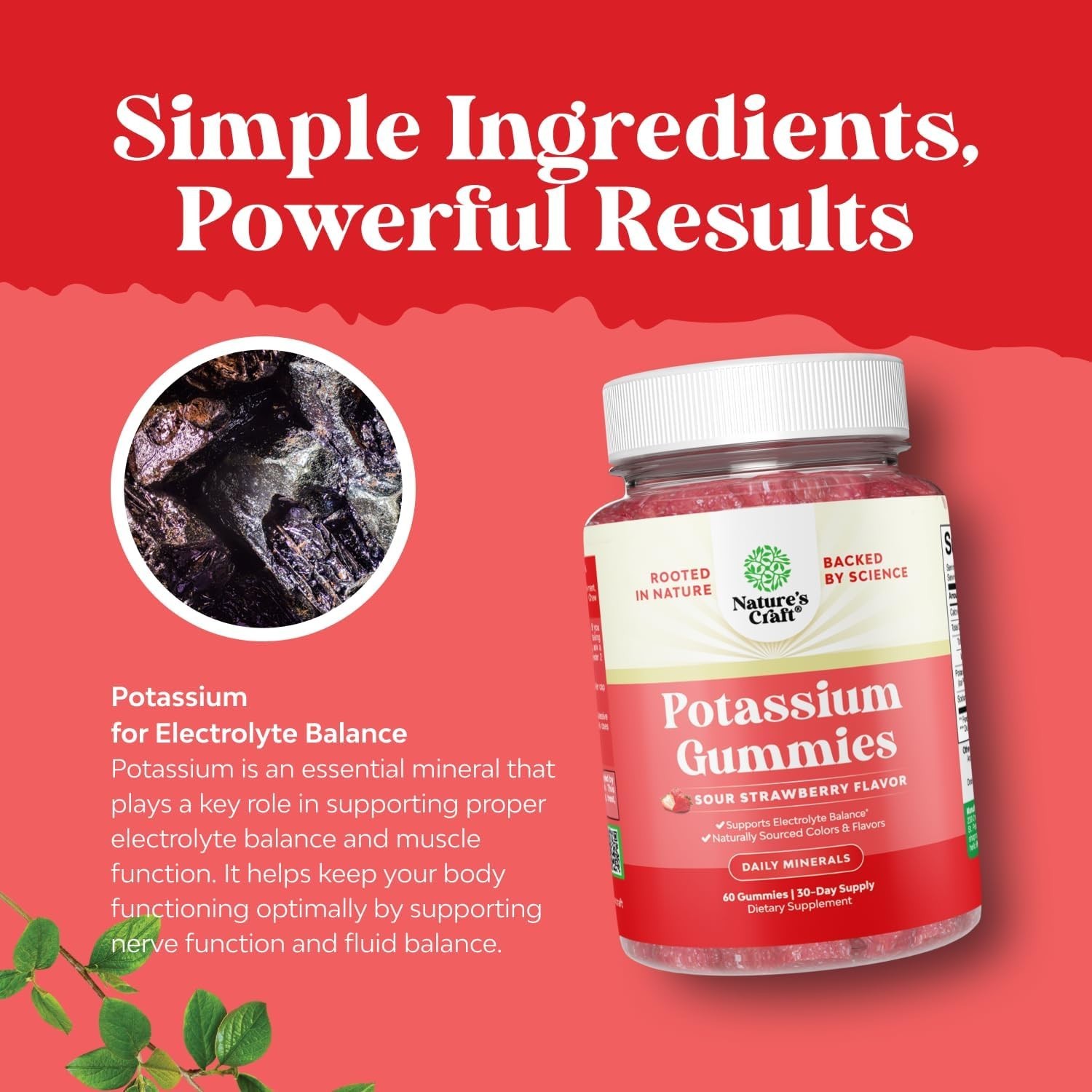 High Potency Potassium Gummies for Adults ~ Powerful Potassium Supplement Gummy