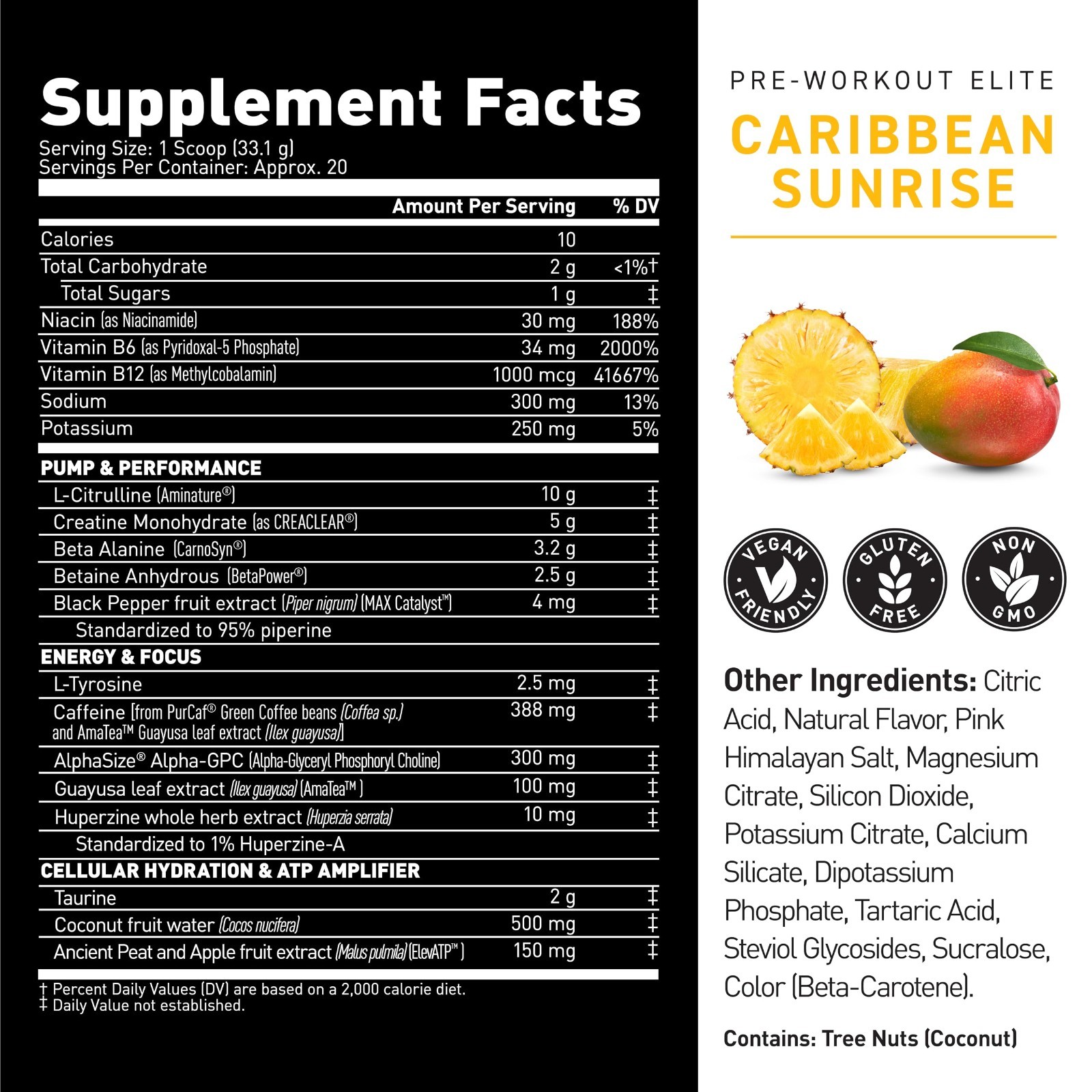 High-Stimulant Pre Workout Powder for Energy & Focus | L-Citrulline, Beta Alanin
