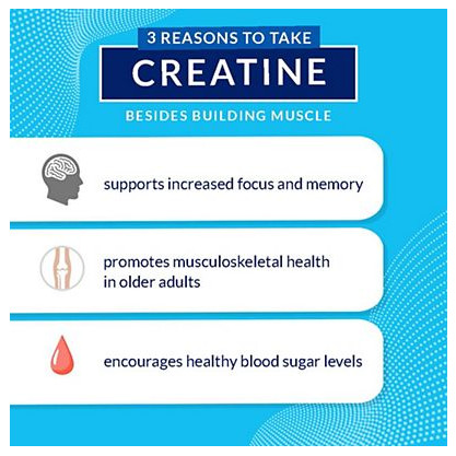 Creatine + Glutamine w/ Beta-Alanine Powder – Fruit Punch (12.6 oz./31 Servings)