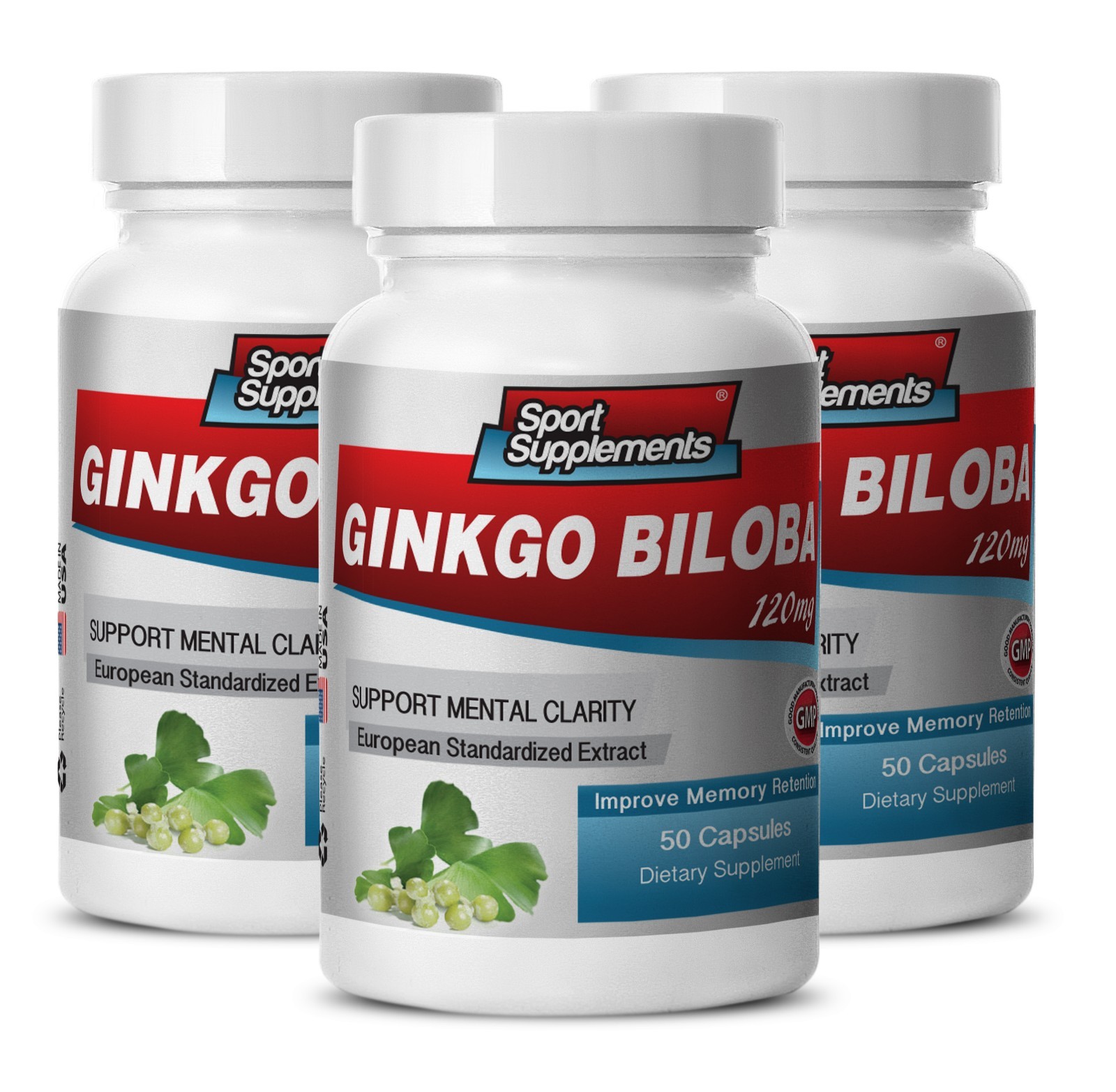 Brain Support – Ginkgo Biloba Extract 120mg – Boost Cardiovascular Health 3B