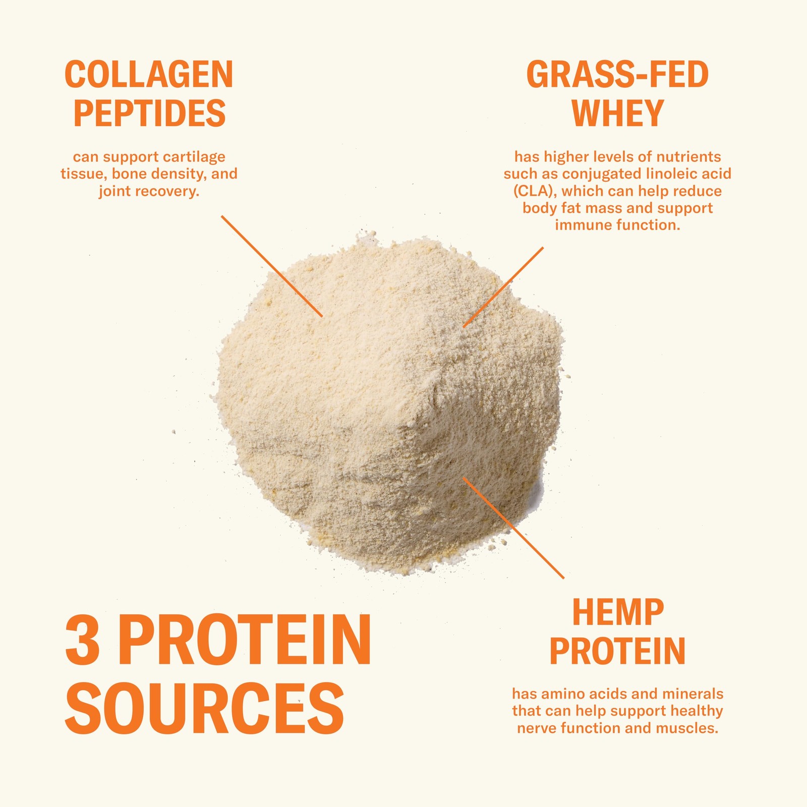 Ballerina Farm Grass Fed Whey Protein Powder Maple Cinnamon 24g Protein with