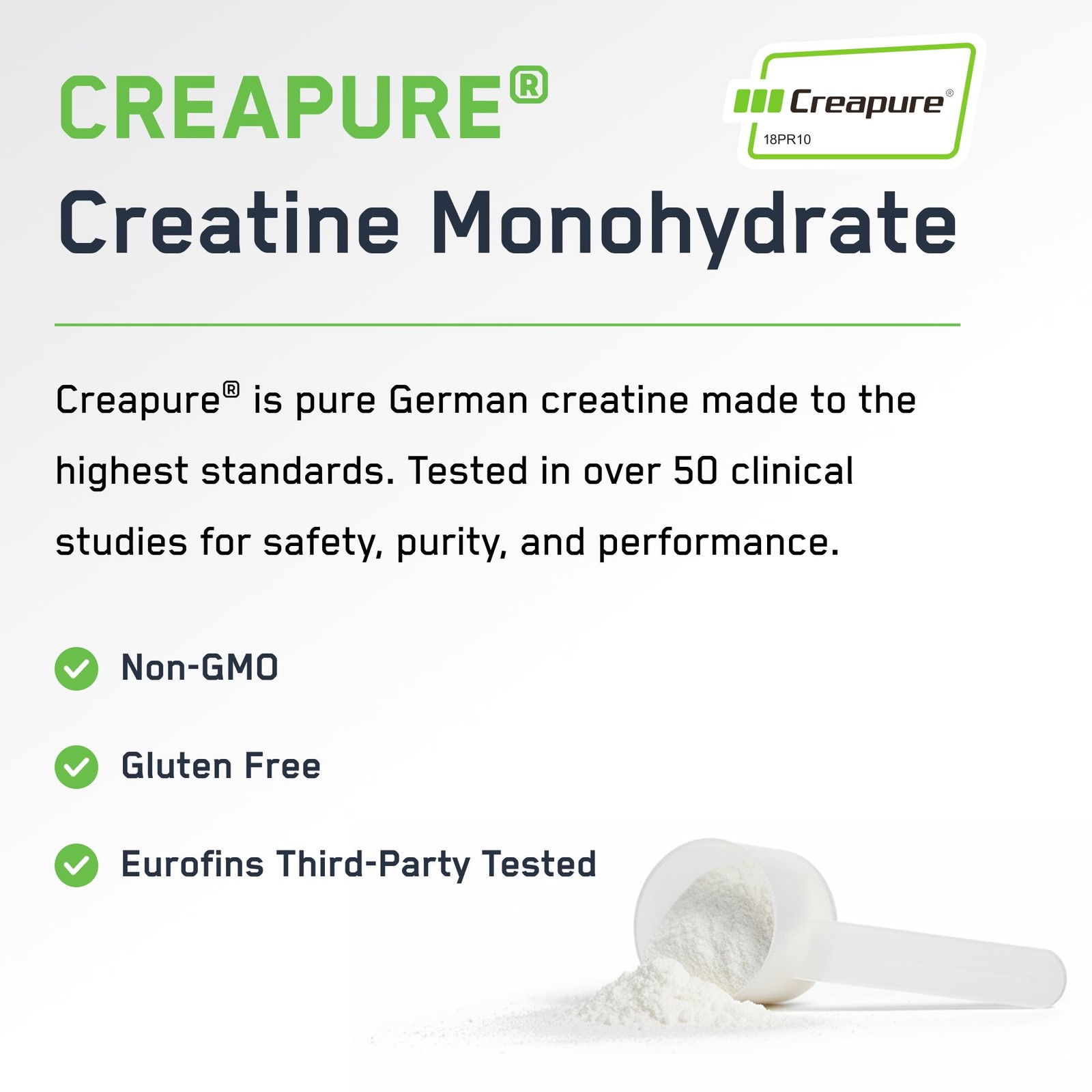 SteelFit Creapure Creatine Monohydrate Powder, 1.1 Pound (Pack of 1)